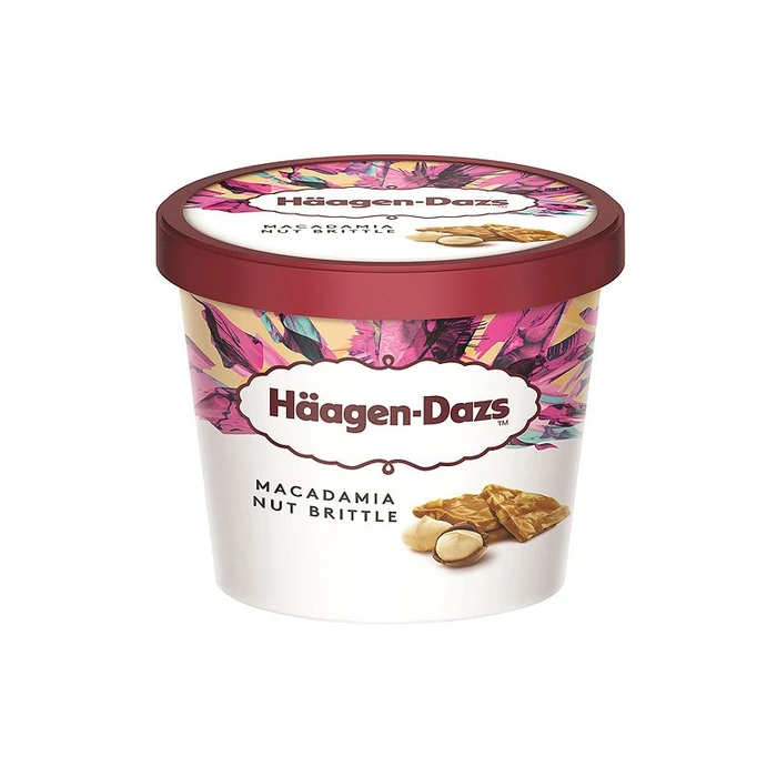 Häagen-Dazs Macadamia Nut Brittle 100 ml